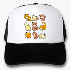 Кепки Trucker