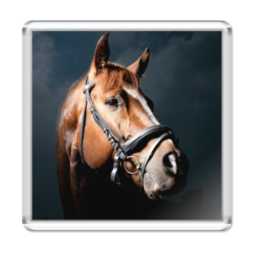 Магнит с принтом 'Лошадь'