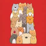 Смешные коты (funny cats)