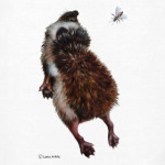 Ежики самые экологичные млекопитающие