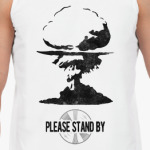 Fallout