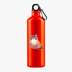 Металлическая бутылка 700 мл UV-DTF