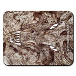 для ручного дракона