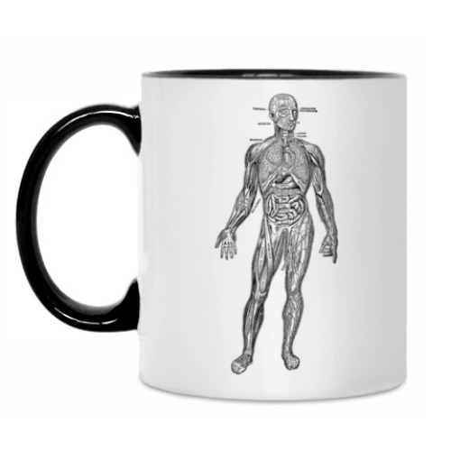 Кружка с принтом Анатомия