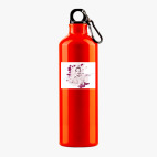 Металлическая бутылка 700 мл UV-DTF