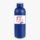 Термобутылка