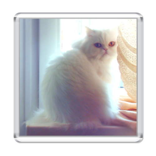 Магнит с принтом  'Белый Перс '