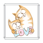 Кошачья love