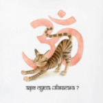 Адхо мукха шванасана?