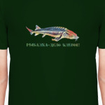 Рыбалка - дело клёвое!