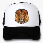 Кепки Trucker