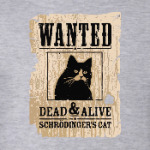 Розыск - кот Шредингера