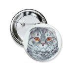 Шотландский вислоухий котик