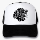 Кепки Trucker