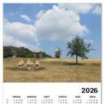 Украинский пейзаж