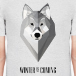 Winter is coming