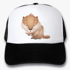 Кепки Trucker