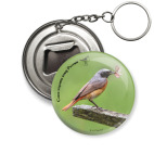 Обыкновенная горихвостка