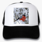 Кепки Trucker