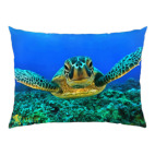 Подушка 47x35 см Черепаха