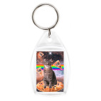 Космический кот