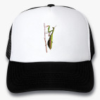 Кепки Trucker