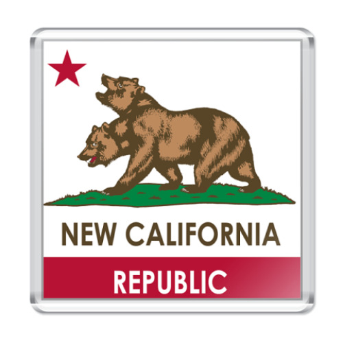 Магнит с принтом  NCR