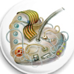  ПЛАСТИКОВОЕ СЕРДЦЕ