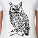 Сова, совушка, мудрые в городе