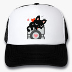 Кепки Trucker