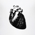  'Anatomy: Heart'