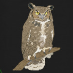 Сова, совушка, мудрые в городе