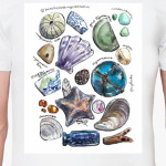 Руководство beachcombing на Сахалине