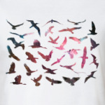 Космические птицы