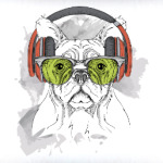 Собака в зеленых очках