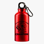 Металлическая бутылка 400 мл UV-DTF