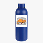 Термобутылка