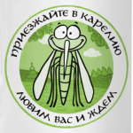 Приезжайте в Карелию