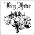 Большая пятерка