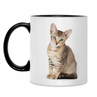 Кружка двухцветная