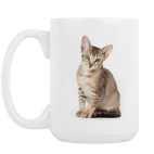 Кошки и котята