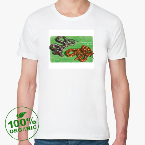 Футболка из органик-хлопка с принтом E.guttata zigzag