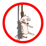 антипудель