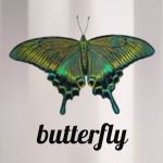 Бабочка Парусник - Махаон