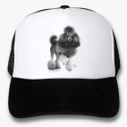 Кепки Trucker