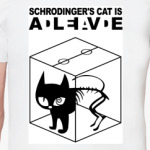 Кот Шрёдингера