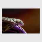 Пушистый дракончик