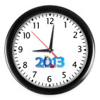 2013 год змеи