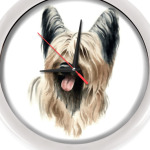 Йоркширский терьер