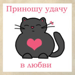 'Коты удачи'